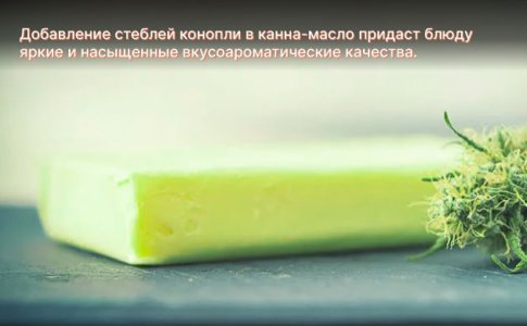 канна-масло из стеблей конопли