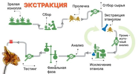 готовые продукты экстракции полного спектра конопли