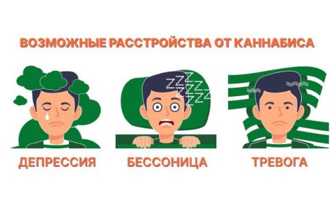 Kakie-rasstrojstva-mozhet-vyzvat-kannabis.jpg