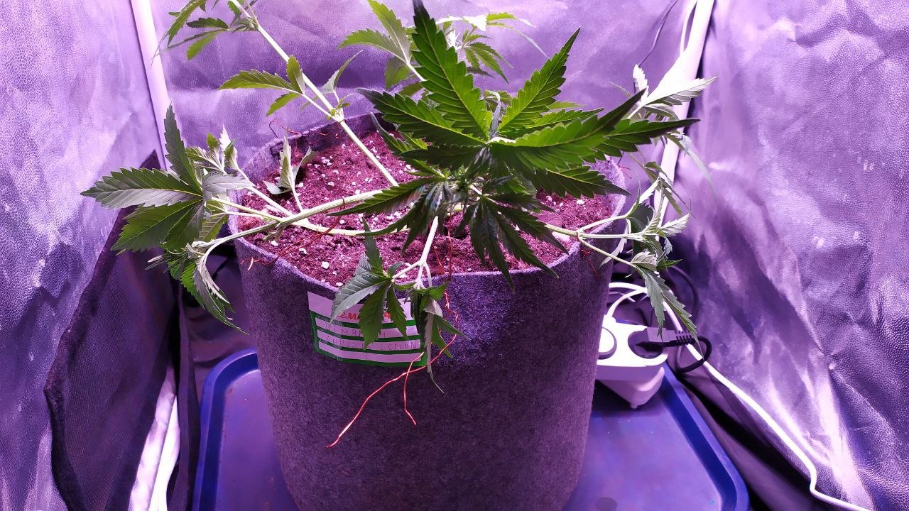 photo_2022-10-16_12-21-32 (2).jpg