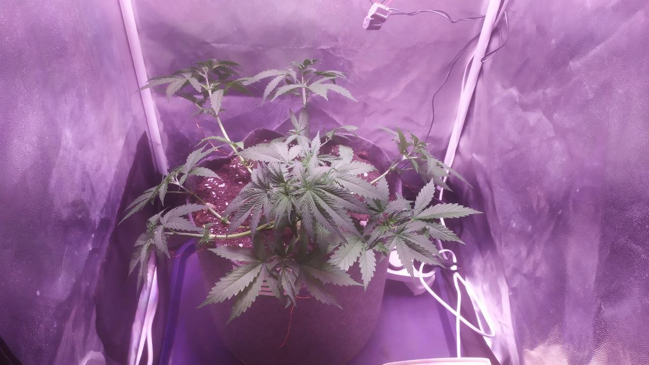 photo_2022-10-16_12-21-31 (2).jpg