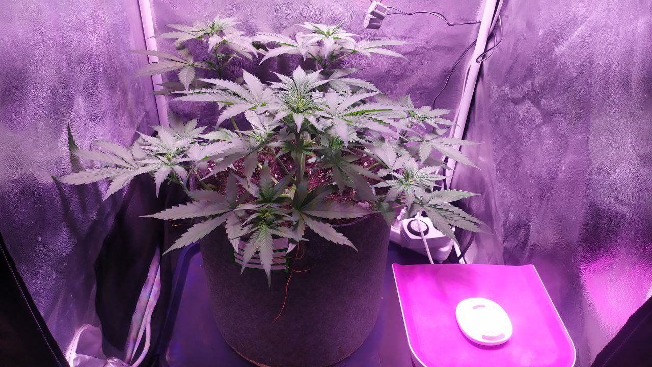 photo_2022-10-15_17-22-11 (2).jpg