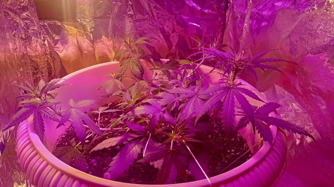 photo_2022-11-08_12-53-05 (2).jpg