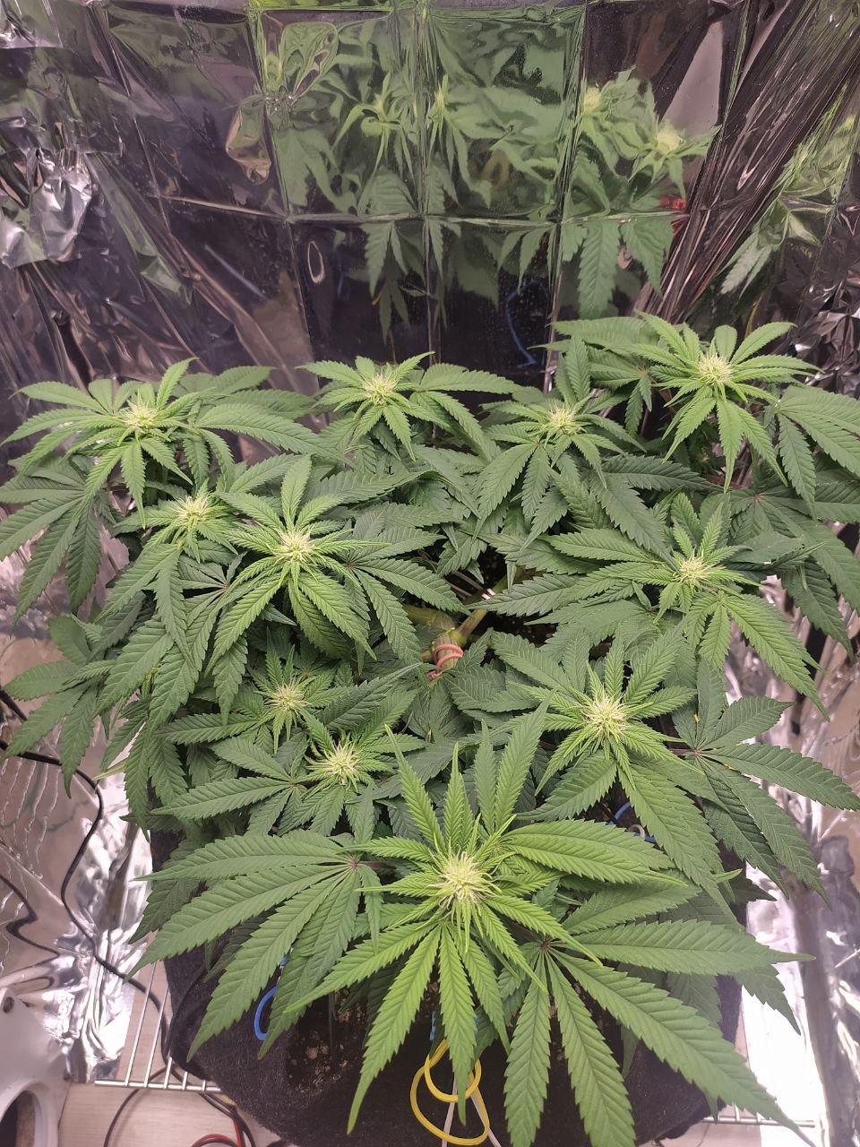 22 — копия.jpg