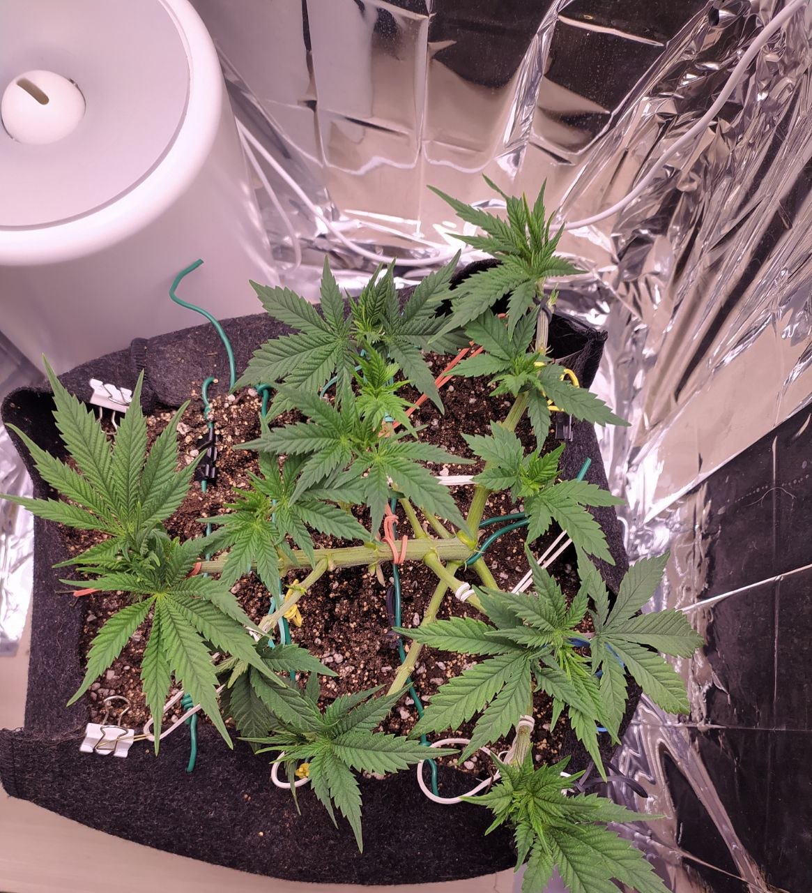 35 — копия.jpg