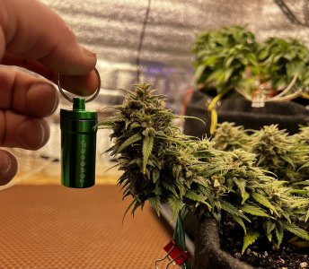 C4C6ACB0-8D94-4E38-BE98-0534CEBCB8BC.jpeg C4C6ACB0-8D94-4E38-BE98-0534CEBCB8BC.jpeg