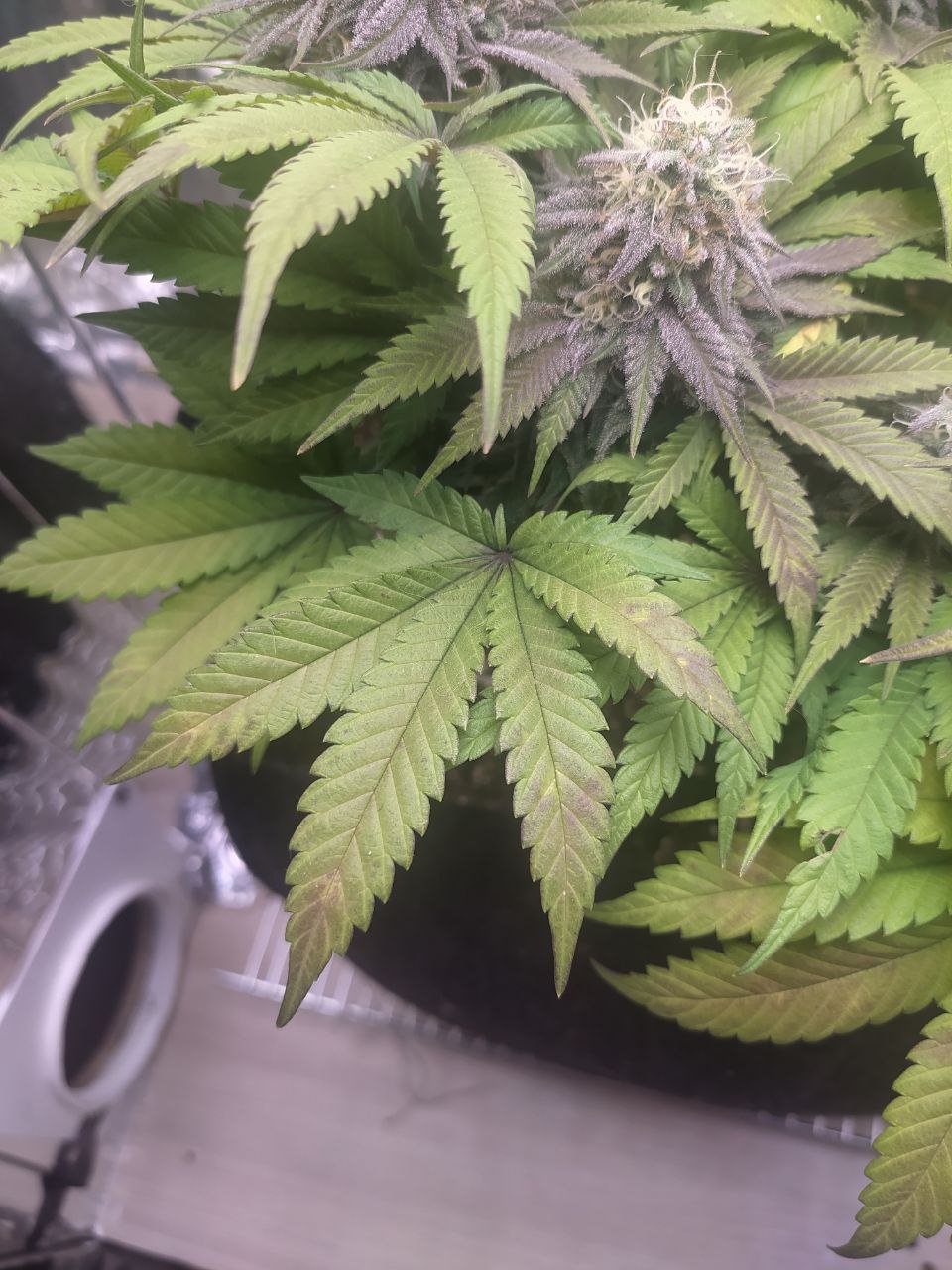 3 — копия.jpg