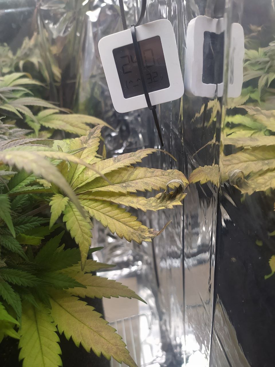 о — копия.jpg