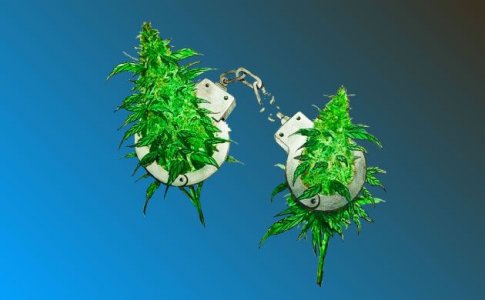 Насколько легальна деятельность сидбанков?