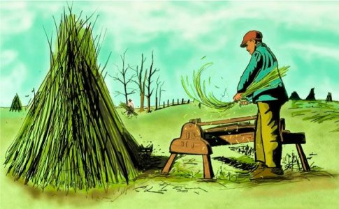 История технической конопли