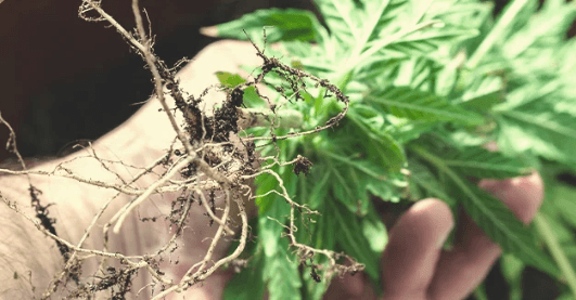 1670948114102.png 1670948114102.png