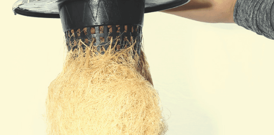 1670948171962.png 1670948171962.png