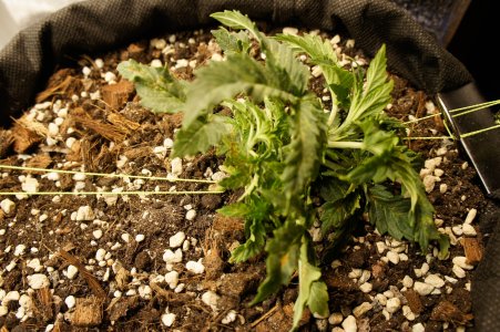 ewrt-3.jpg ewrt-3.jpg