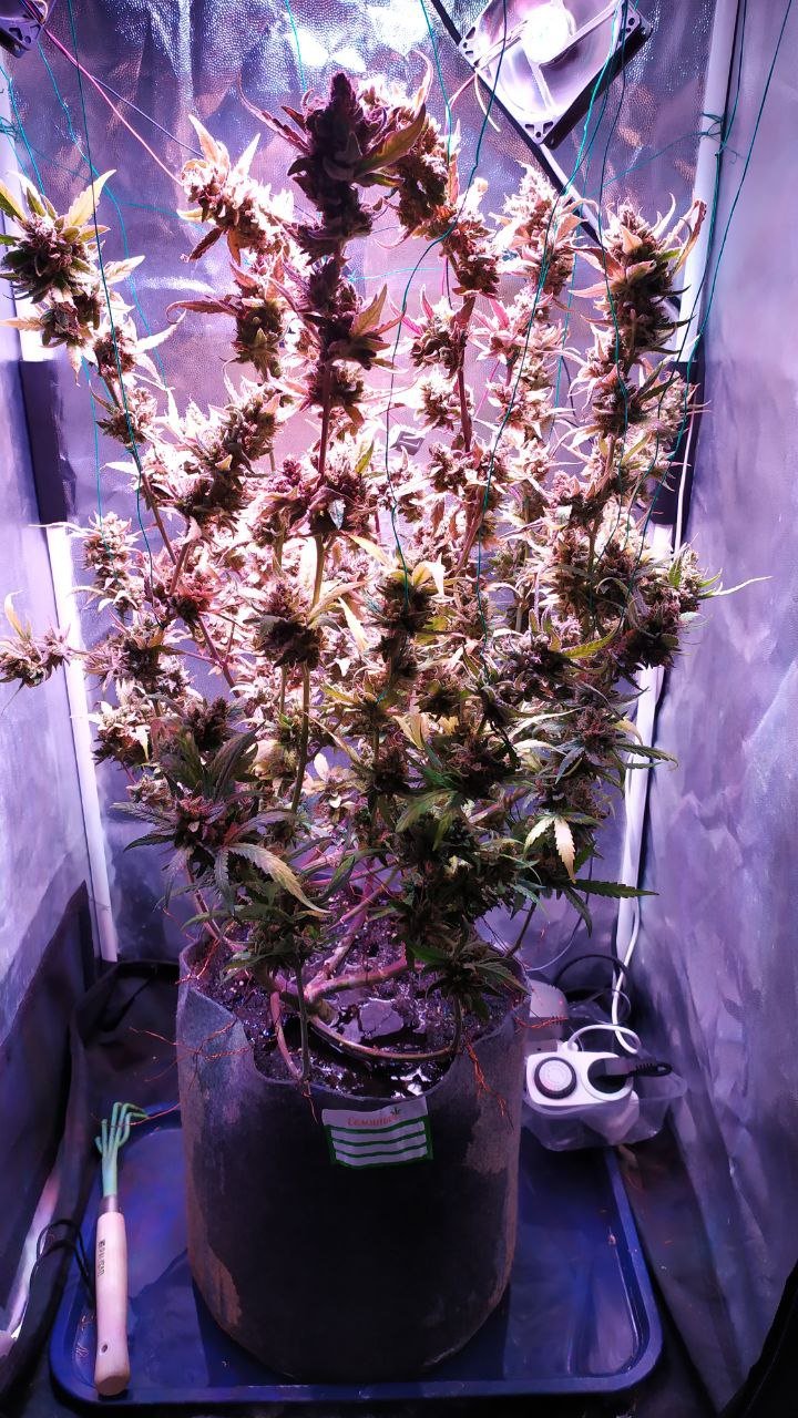 photo_2023-01-06_12-51-23 (2).jpg