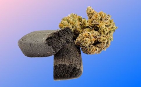 Отличия гашиша от марихуаны