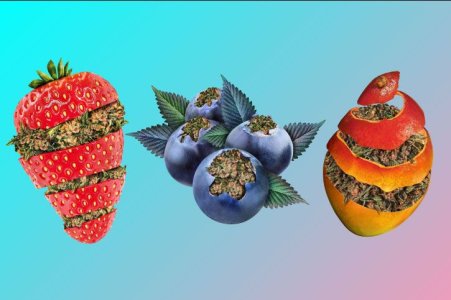 Почему пахнет конопля - терпены конопли