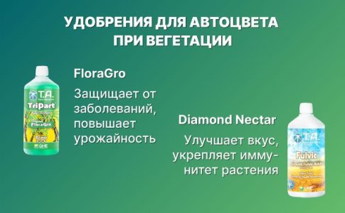 Удобрения для автоцвета в период вегетации