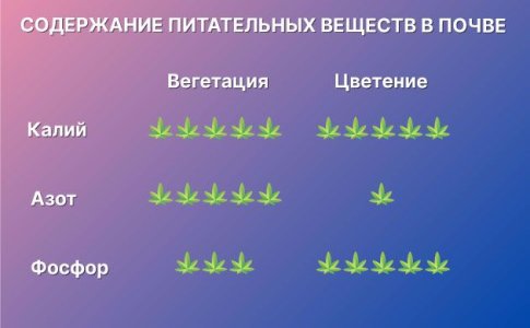 Подкормка автоцветов на цветении