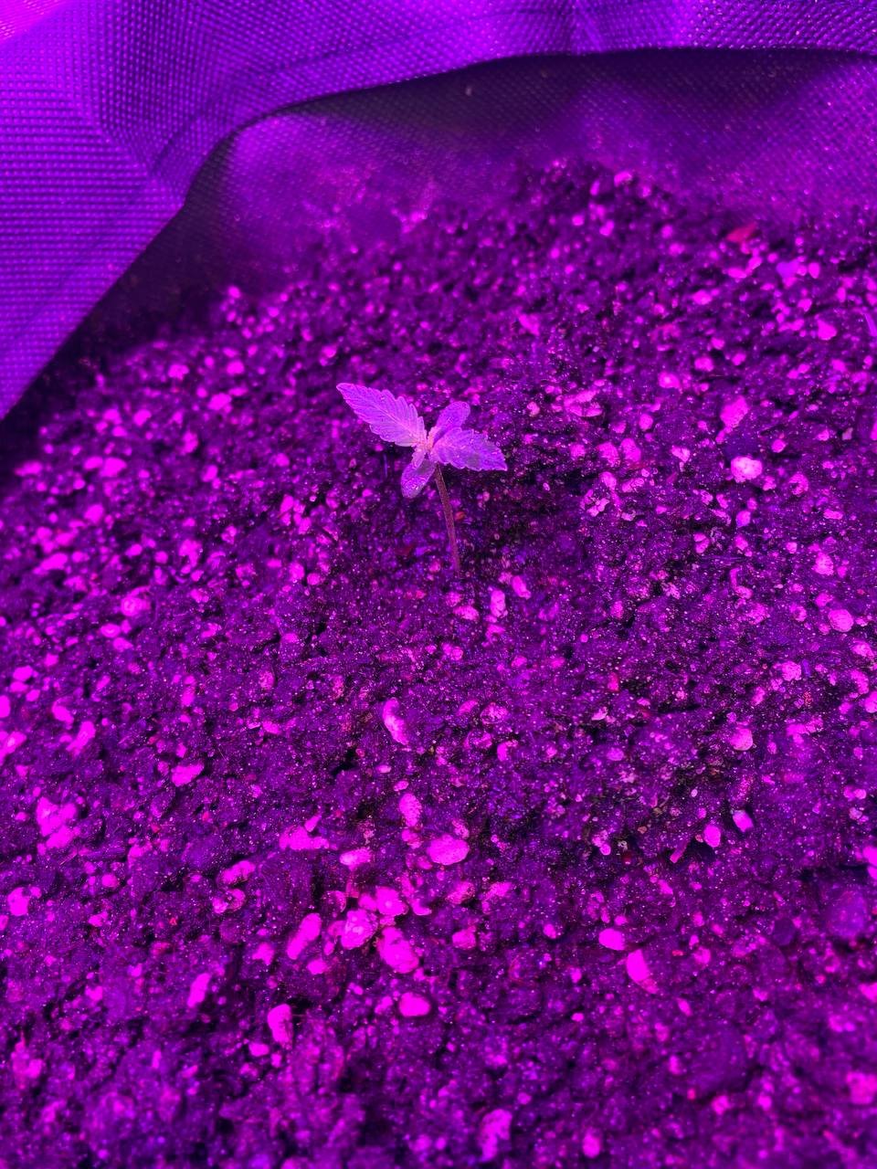 photo1674238263 (1).jpeg