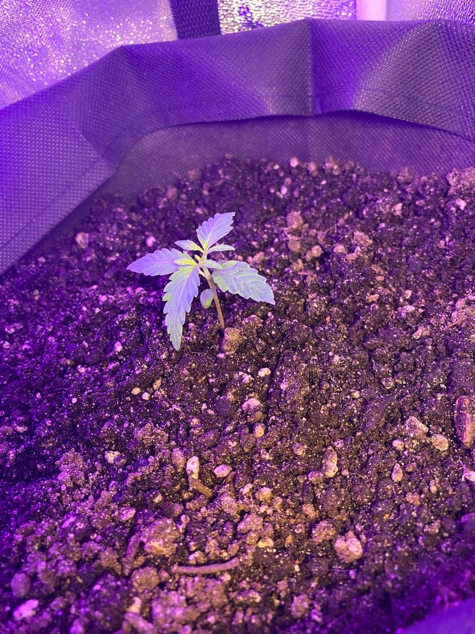 photo1674656047 (1).jpeg