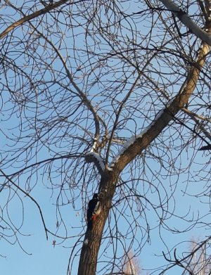 20230126_170953.jpg 20230126_170953.jpg