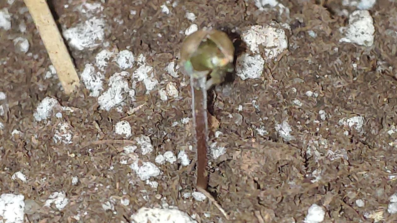 1 photo_2023-02-17_11-28-56.jpg