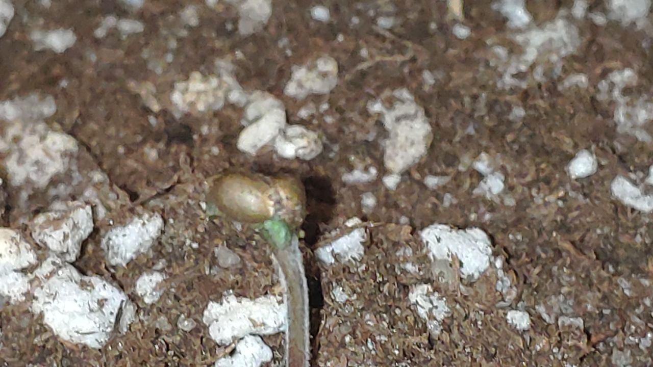 1 photo_2023-02-17_11-29-29.jpg