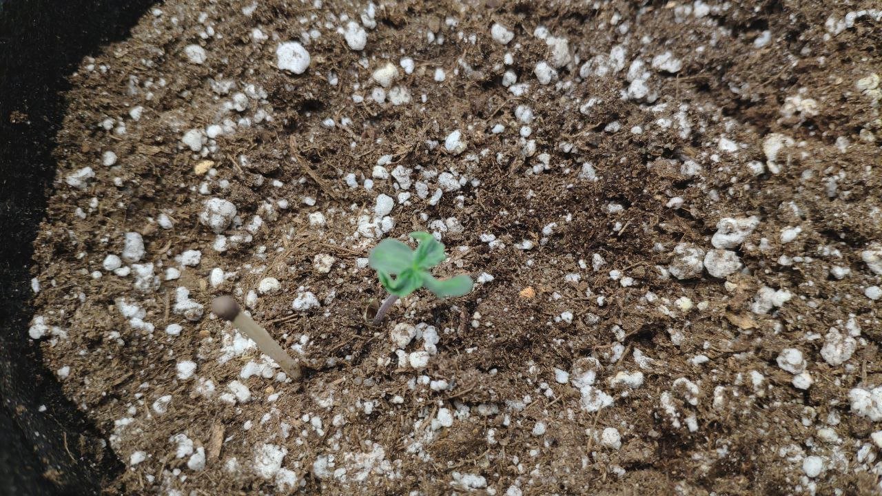 2 photo_2023-02-17_15-26-53.jpg