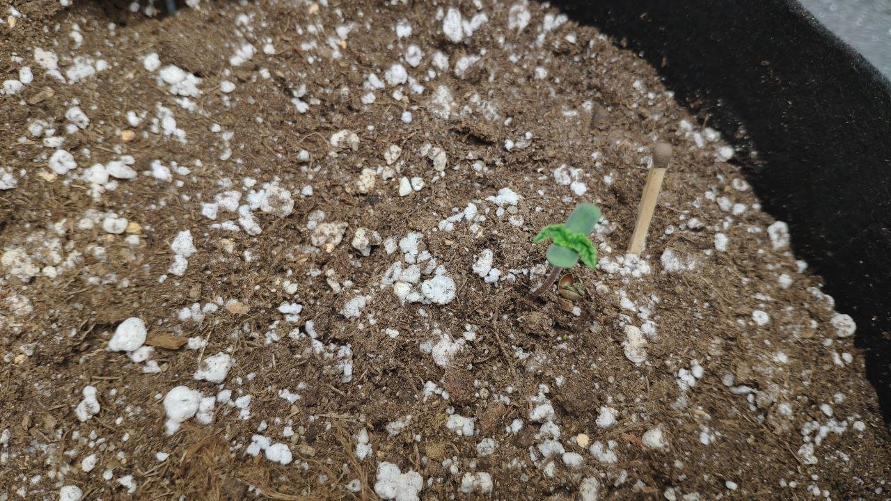 2 photo_2023-02-17_15-27-01.jpg