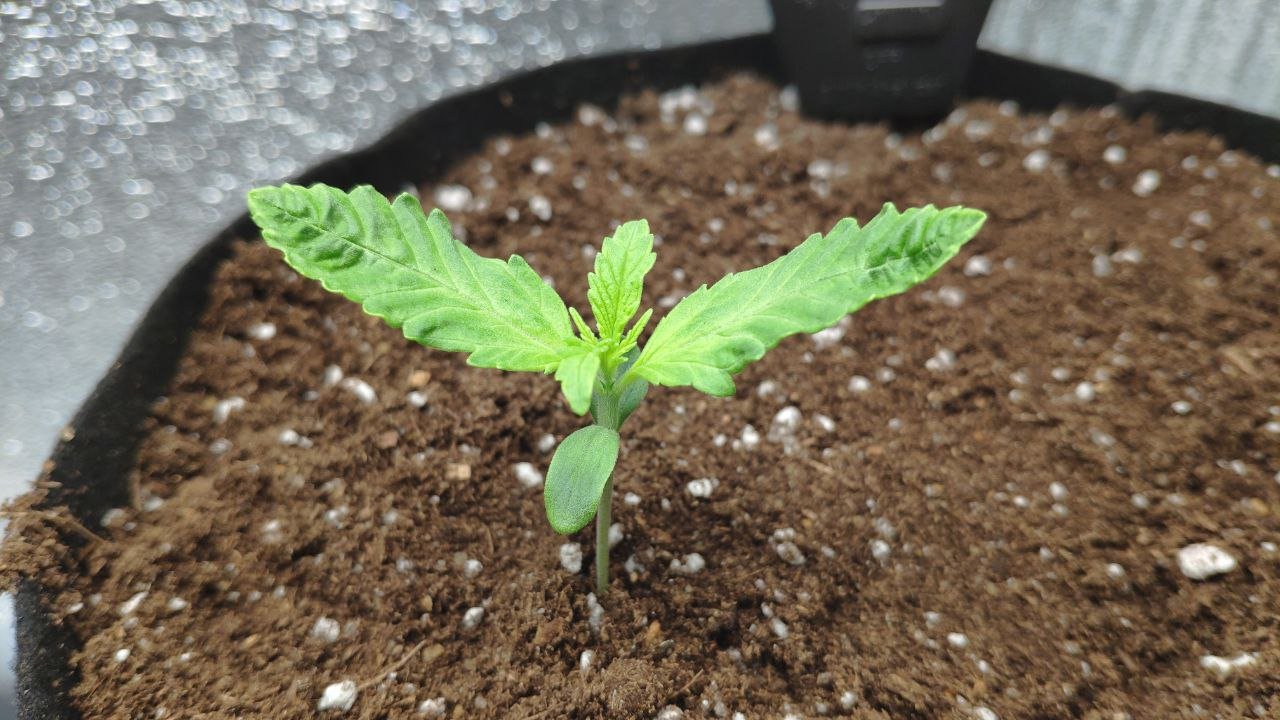 8 photo_2023-02-17_15-51-03.jpg