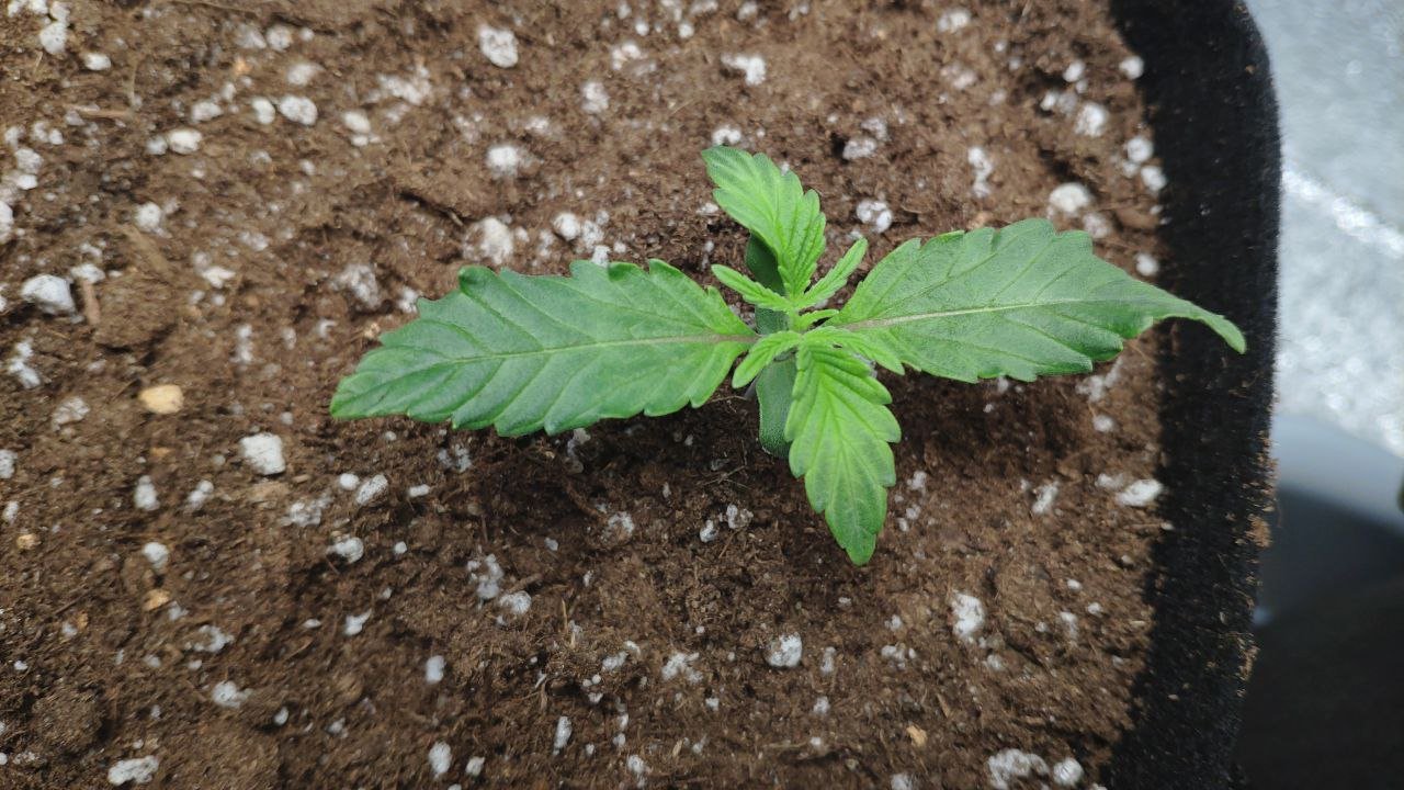 9 photo_2023-02-17_16-06-36.jpg