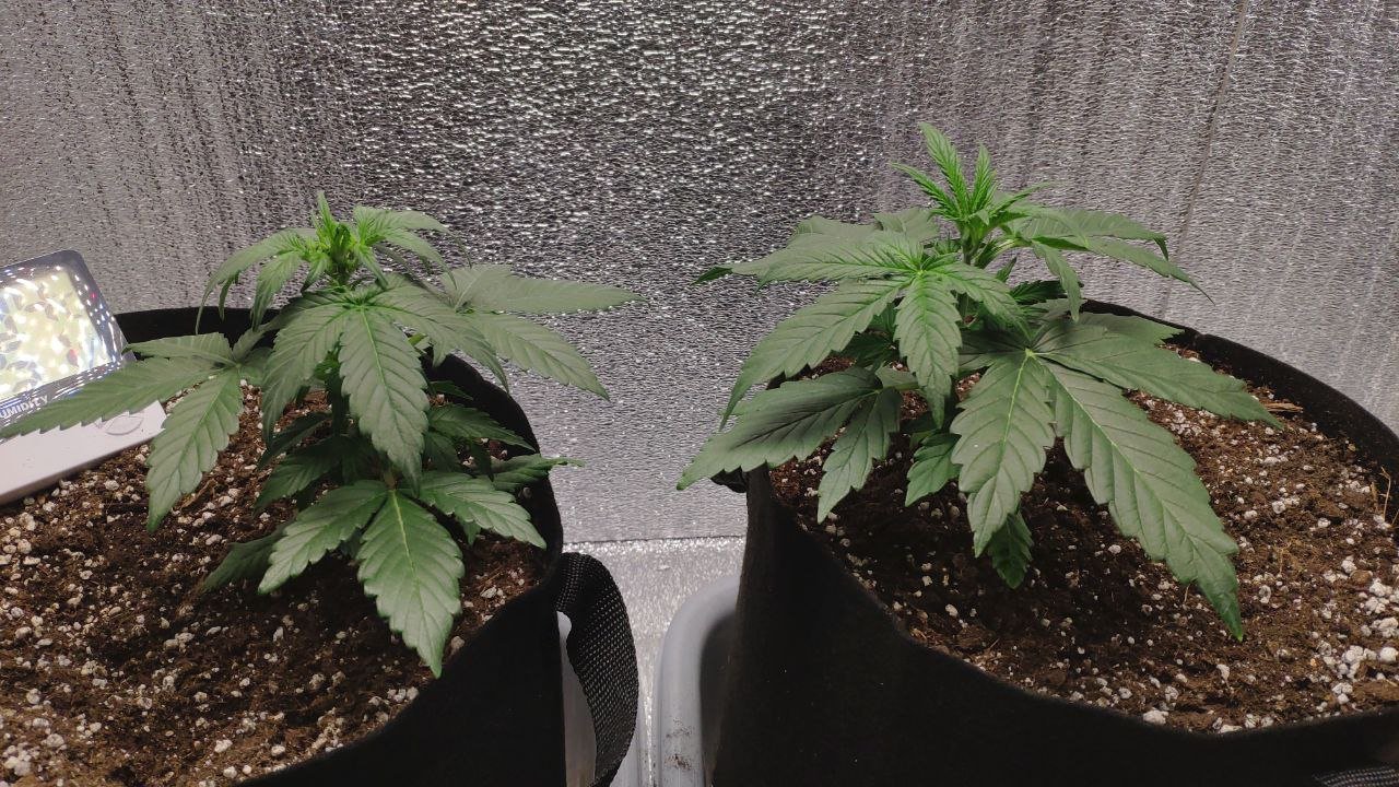 20 photo_2023-02-17_16-33-23.jpg