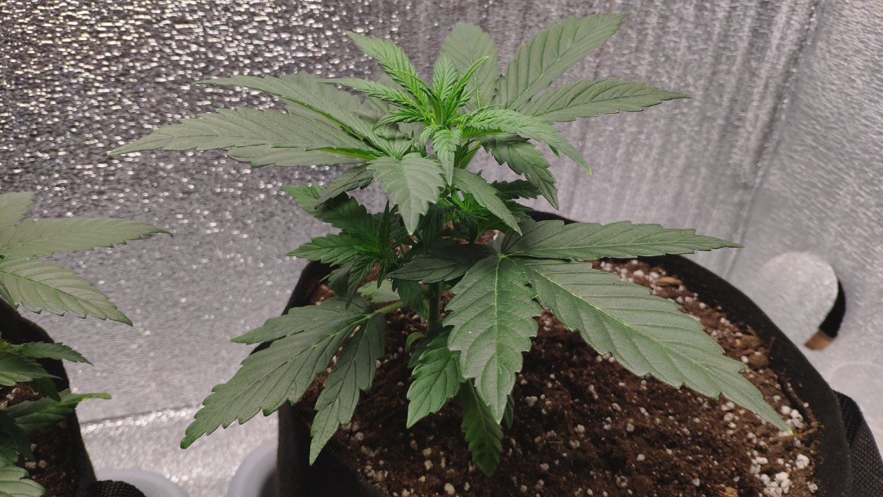 21 photo_2023-02-17_16-41-09.jpg