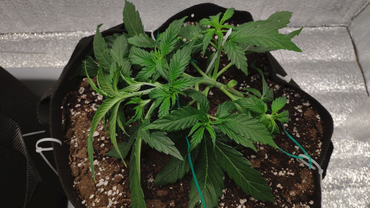 22 photo_2023-02-17_16-57-04.jpg