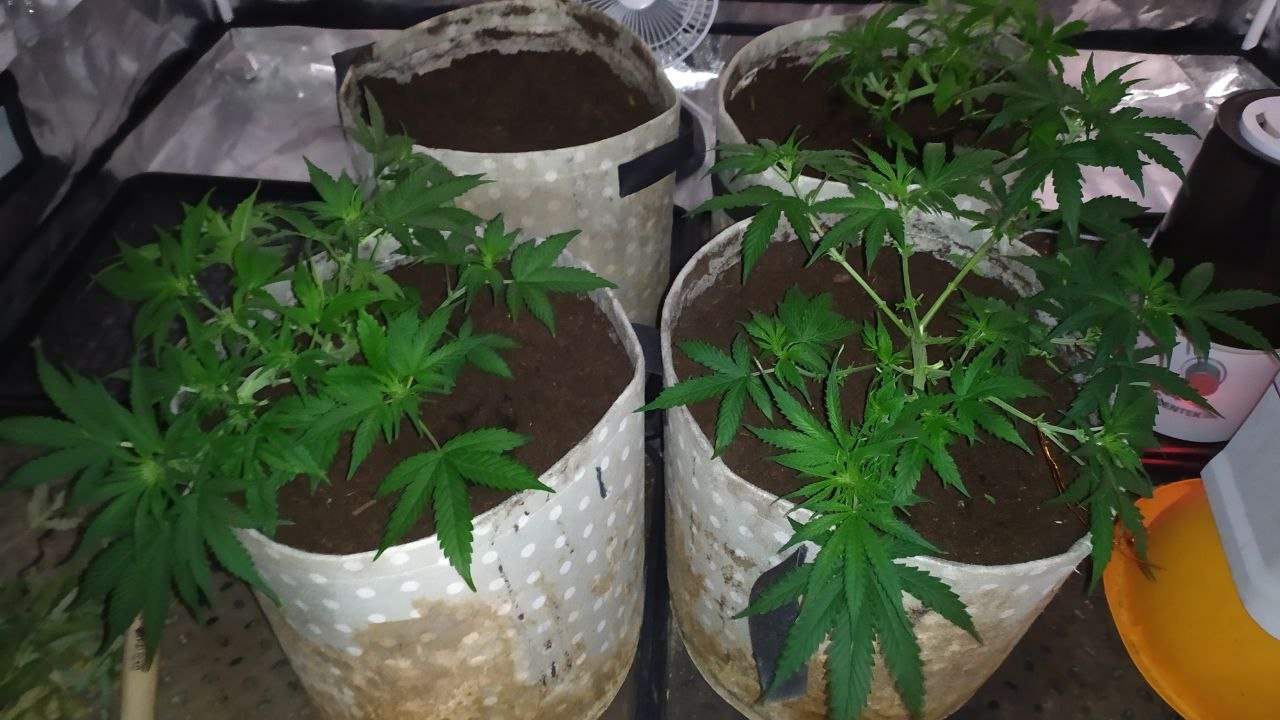 photo_2023-02-25_15-14-20 (2).jpg