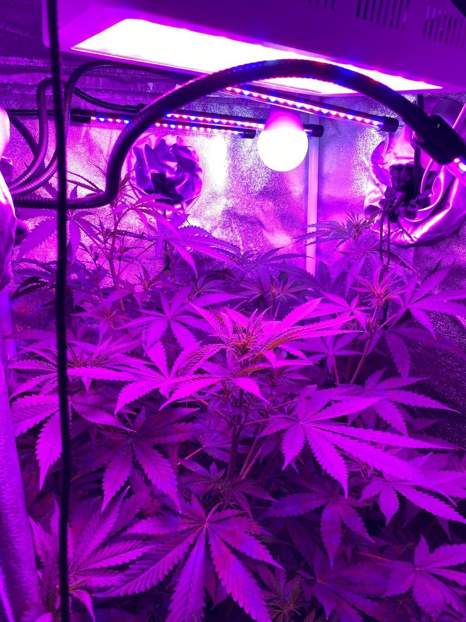 photo1677430783 (5).jpeg