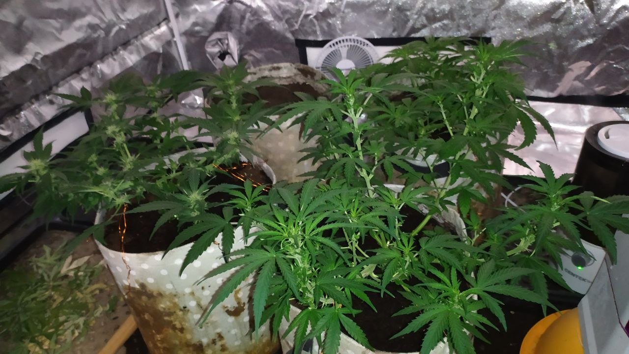 photo_2023-03-05_13-25-00 (3).jpg