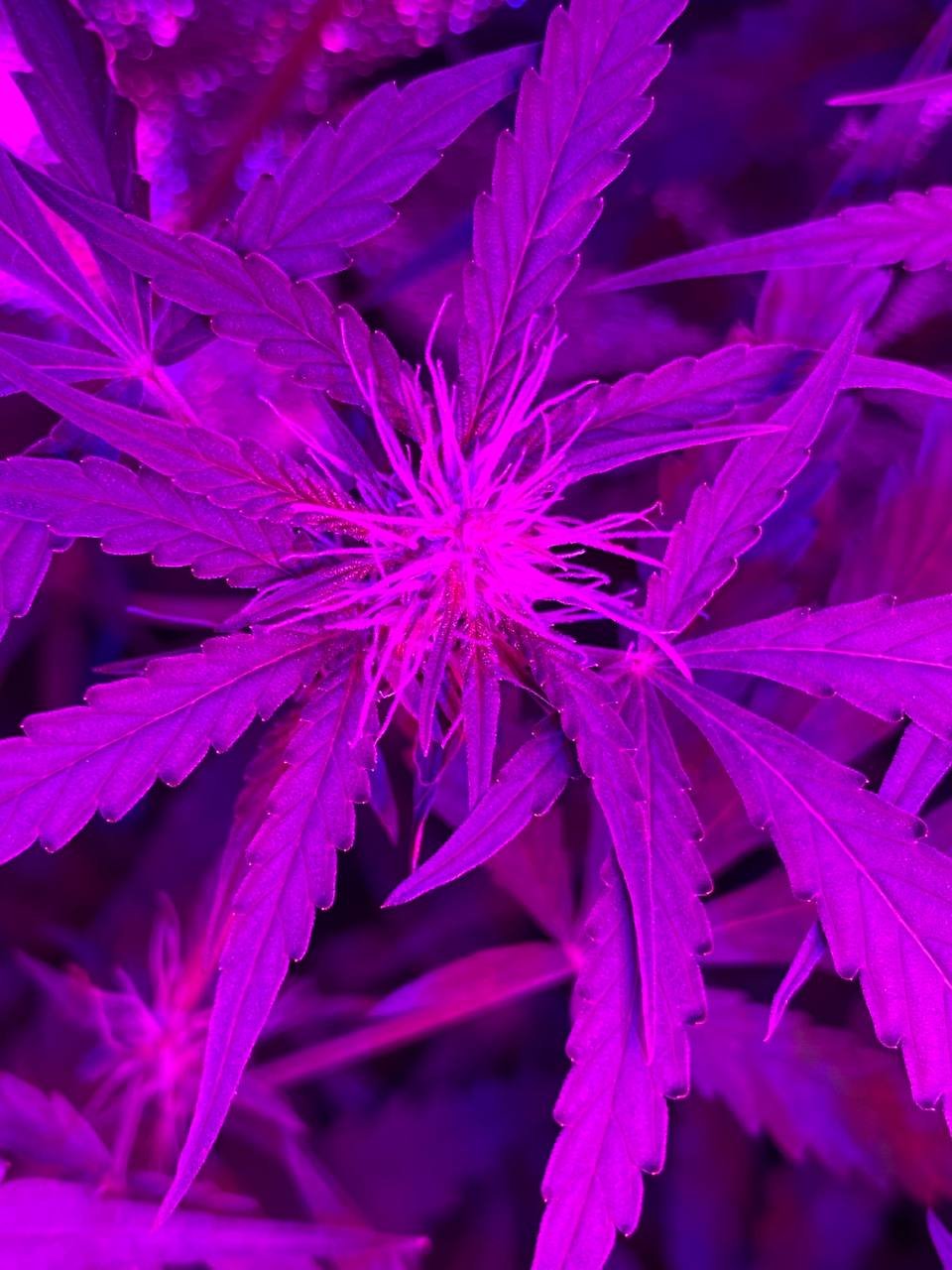 photo1678098168 (3).jpeg