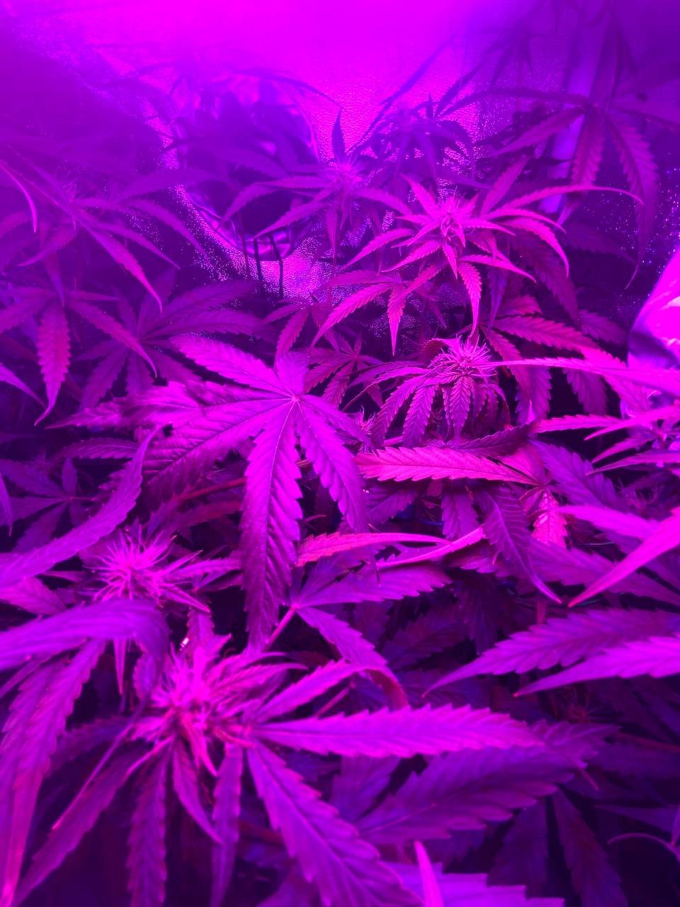 photo1678544616 (1).jpeg