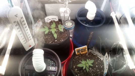 16.03.23 (1).jpg 16.03.23 (1).jpg