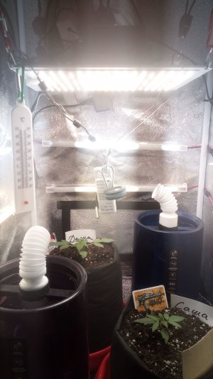 16.03.23 (2).jpg 16.03.23 (2).jpg