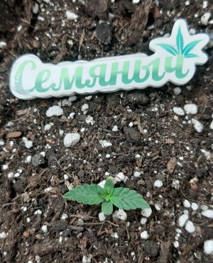 20230317_101807.jpg 20230317_101807.jpg