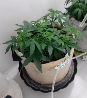 20230317_142610.jpg 20230317_142610.jpg