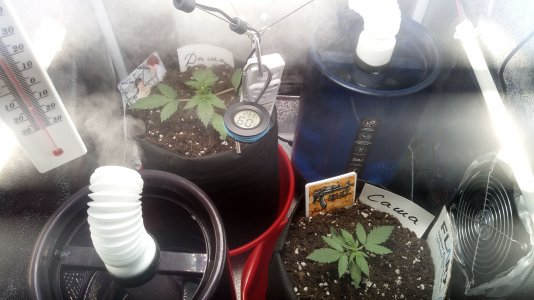 17.03.23 (1).jpg 17.03.23 (1).jpg