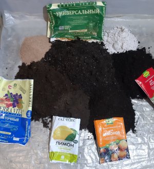 20230319_085658.jpg 20230319_085658.jpg