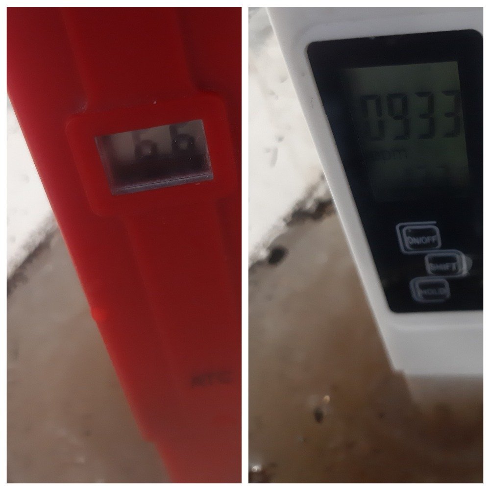 MyCollages.jpg MyCollages.jpg