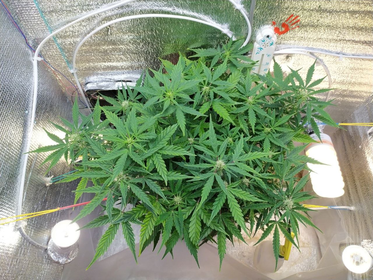 photo_2023-03-19_13-03-03 (3).jpg