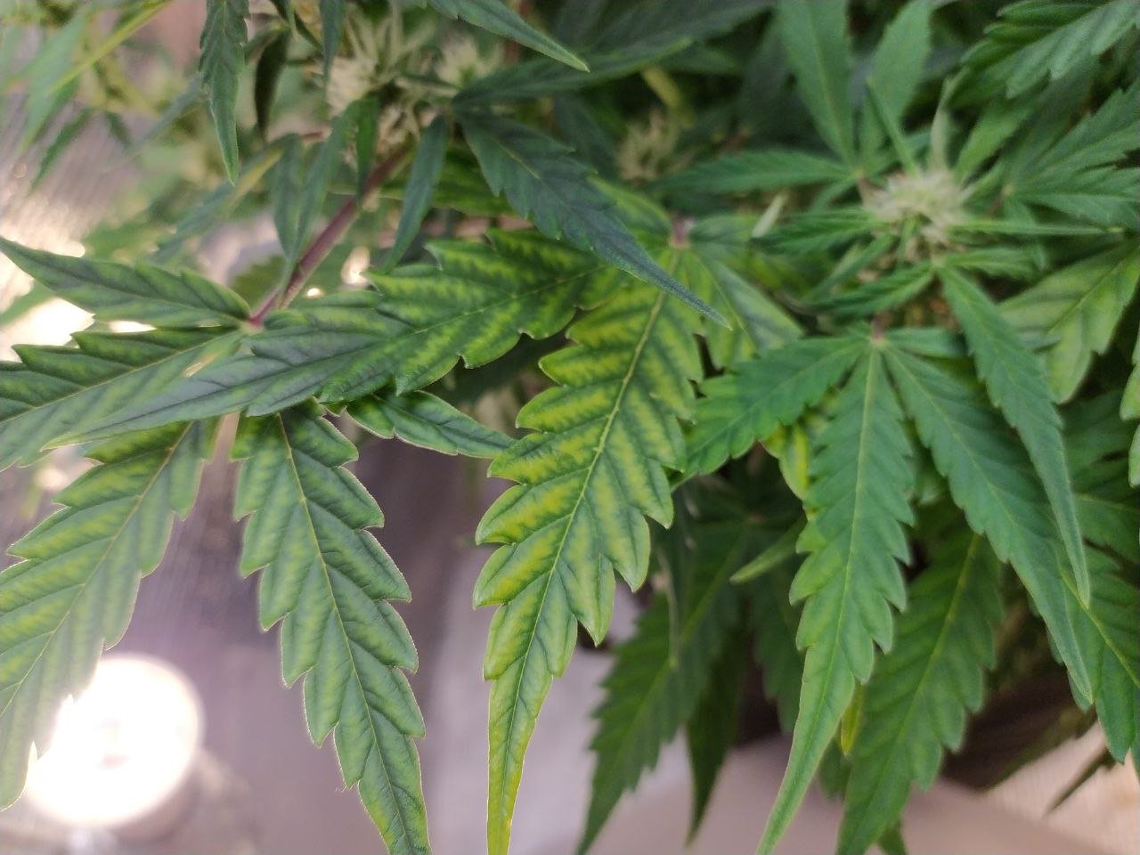 photo_2023-03-19_13-03-02 (2).jpg