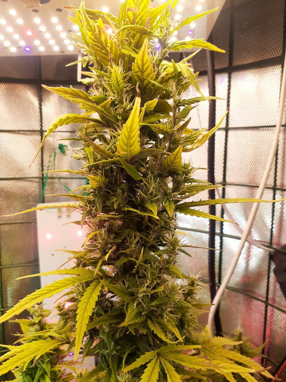 photo_2023-03-25_14-05-47 (2).jpg