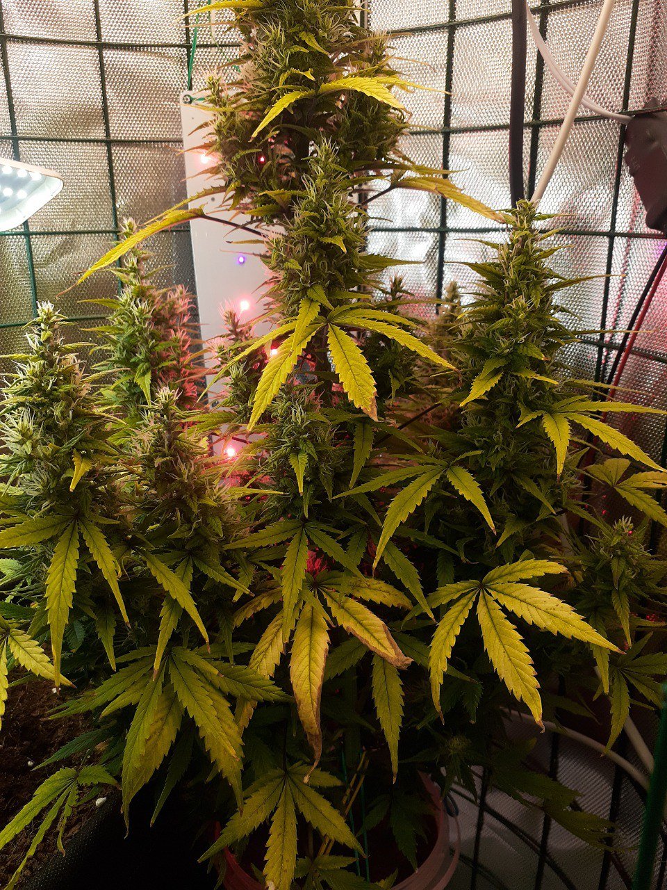 photo_2023-03-25_14-05-47 (3).jpg